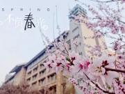 等閑識(shí)得東風(fēng)面，萬(wàn)紫千紅總是春
